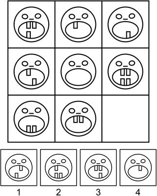 Neural Correlates of Group Versus Individual Problem Solving Revealed by fMRI